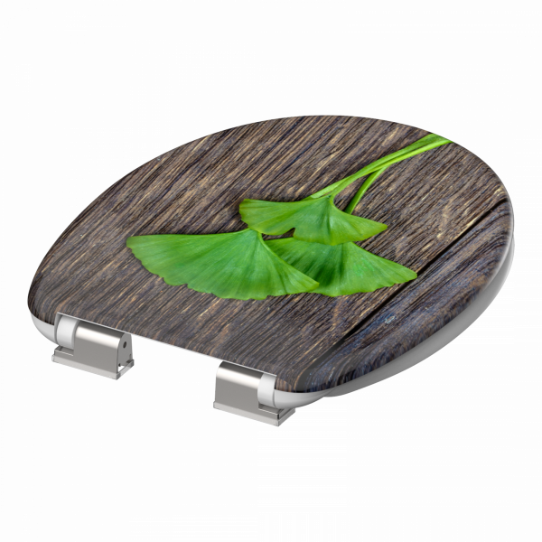 Toilettensitz mit Holzoptik und grünem Ginkgoblatt-Motiv auf dem Deckel.