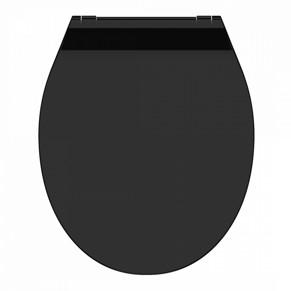 Schwarzer WC-Sitz mit abgerundeter Form und Scharnieren an der Rückseite.