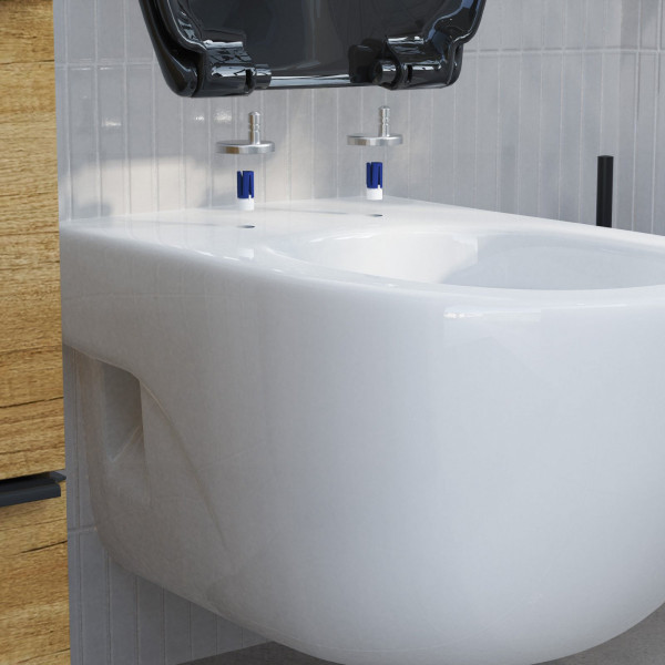 WC-Sitz Alma Made in Germany, in Schwarz mit Absenkautomatik und Schnellverschluss, O-Form