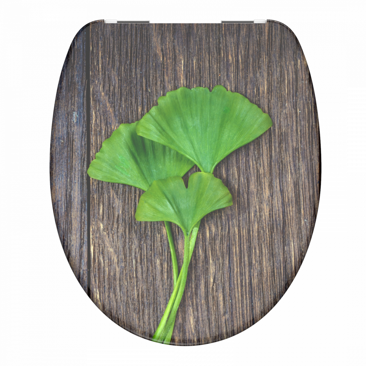 Duroplast WC-Sitz GINGKO und WOOD, mit Absenkautomatik
