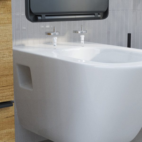 WC-Sitz BLACK TÜV geprüft in E-Form