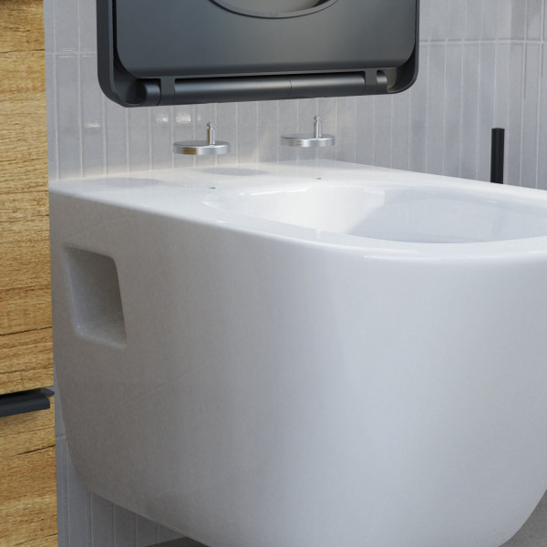 WC-Sitz BLACK TÜV geprüft in E-Form