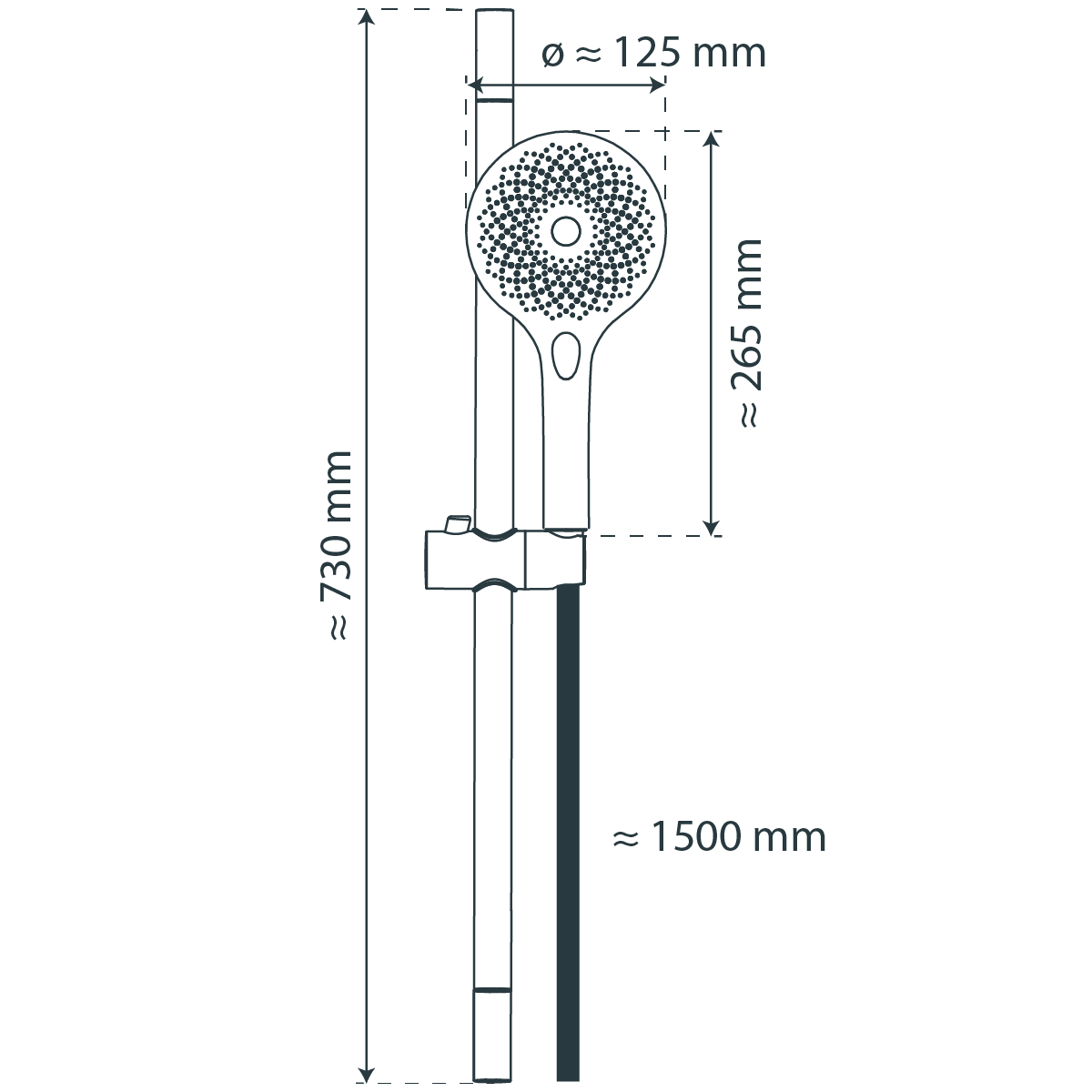 CAPRI Stangenbrauseset, Schwarz matt