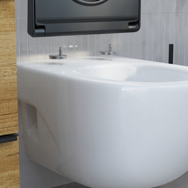 WC-Sitz Helma, in Schwarz mit Absenkautomatik und Schnellverschluss, D-Form