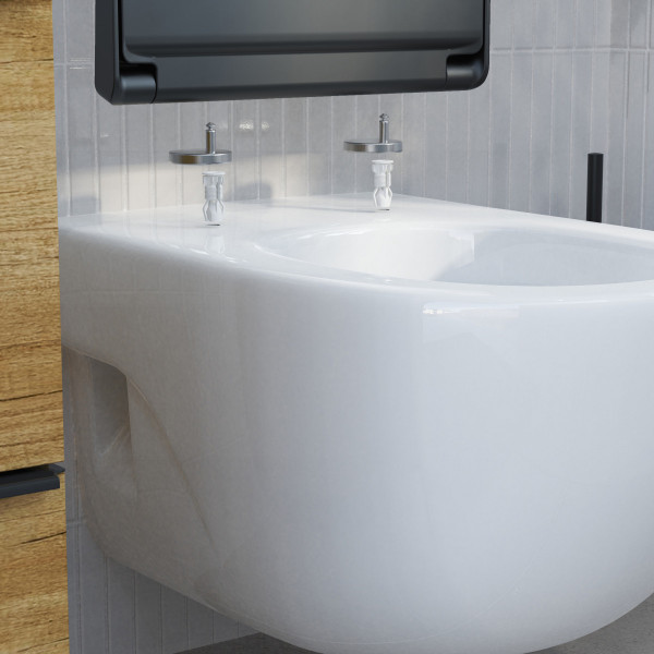 WC-Sitz Helma, in Schwarz mit Absenkautomatik und Schnellverschluss, D-Form