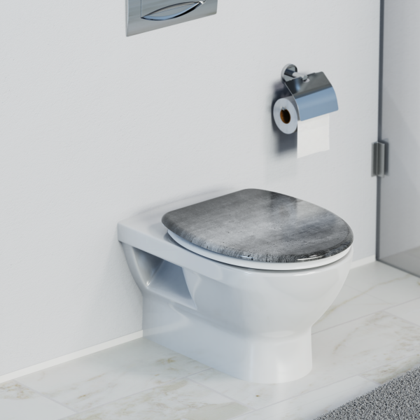 Wandhängende weiße Toilette mit geschlossenem grauem WC-Sitz und Toilettenpapierhalter.