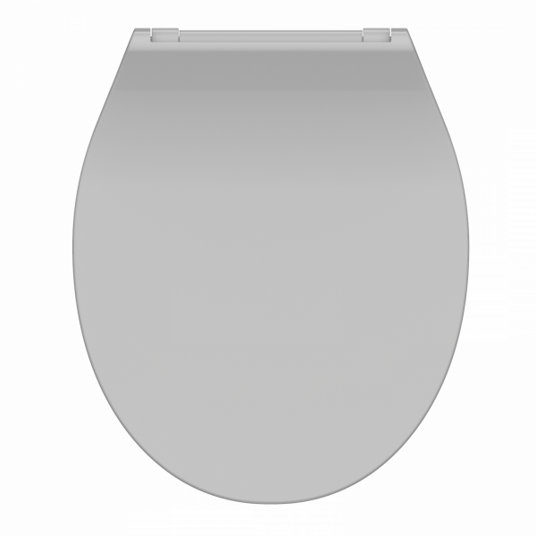 Geschlossener, ovaler WC-Sitz mit glatter grauer Oberfläche und Scharnieren oben.
