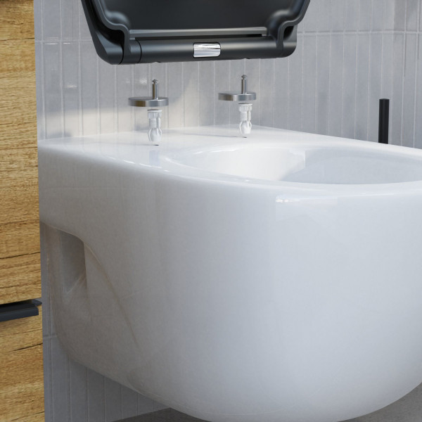 WC-Sitz Helma, in Schwarz mit Absenkautomatik und Schnellverschluss, O-Form