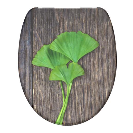 GINGKO WOOD